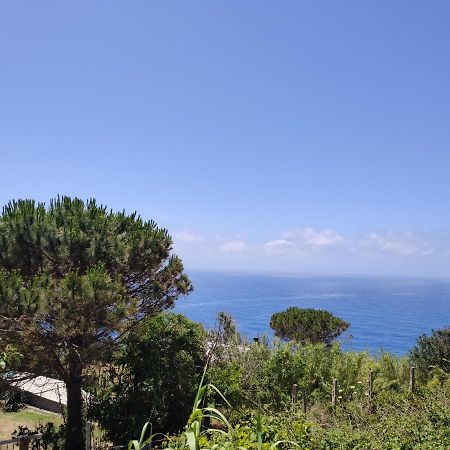 Apartamento Casa De Somma Forio di Ischia Exterior foto